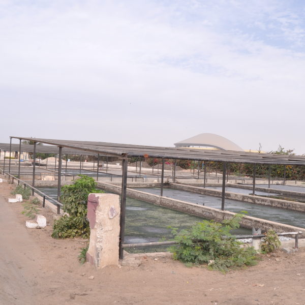 image portfolio